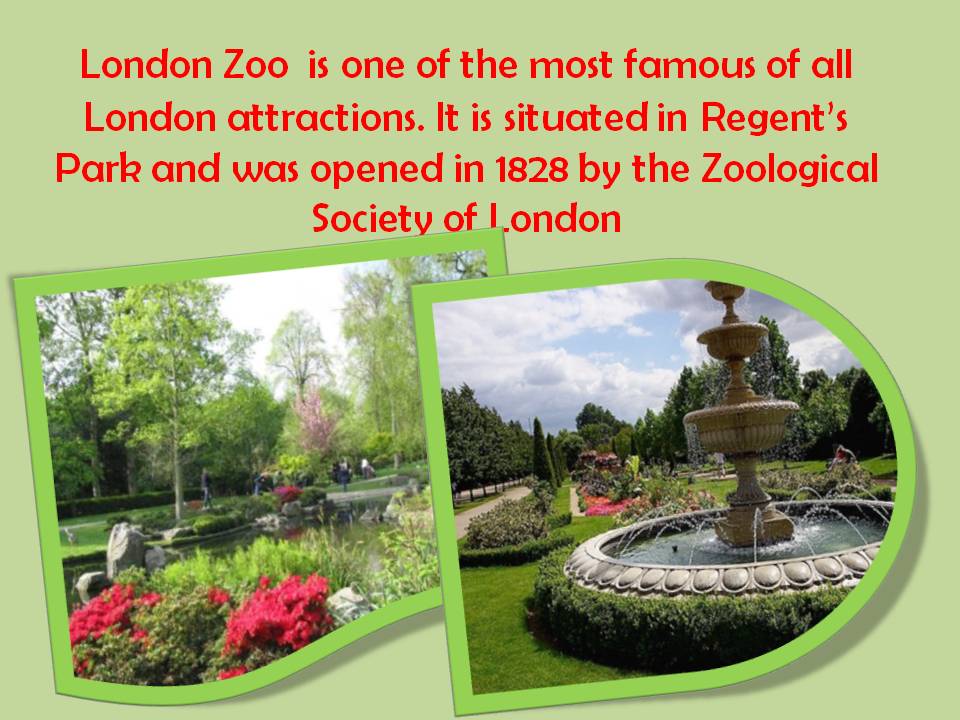Рассказ london zoo на английском с переводом 6 класс